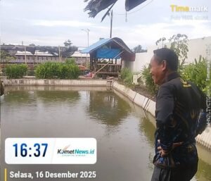 Kepala Desa Sangiang Tinjau Budidaya 50 Ribu Bibit Lele Sangkuriang untuk Program MBG