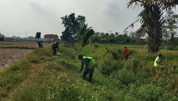UPTD SDA Wilayah III Kabupaten Tangerang Laksanakan Pemeliharaan Normalisasi Kali Baru Kresek
